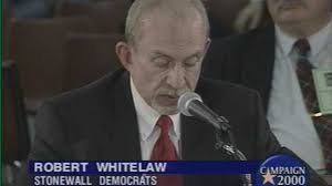 Democratic Platform Hearing, Afternoon Session