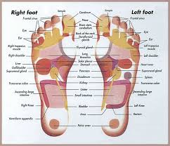 Reflexology Benefits And Limitations Acupressure Points Guide