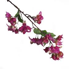 Tropical flowers can add a fun and refreshing vibe to any occasion. 37 Artificial Bougainvillea Silk Flowers Blossom Flowers Bulk Silk Flowers Buy Artificial Blossom Bougainvillea Silk Flowers Artificial Silk Flower Product On Alibaba Com