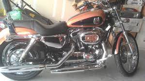 2008 Harley Davidson Sportster 1200 Cc 105th Anniversary Edition 2008 Harley Davidson Harley Davidson Sportster 1200 Harley Davidson Sportster