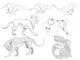 Bookmark this page for a new tutorial every saturday. Cartoon Fundamentals The Secrets In Drawing Animals