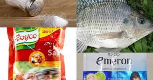 Lamongan menyediakan menu makanan penyetan seperti bebek, ayam, ikan lele, ikan nila, burung dara, angsa dan lainnya. Umpan Ikan Nila Susah Makan Di Spot Mancing Liar Seloki Jusuf Fitroh