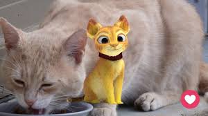 Drooling seems more like a dog thing (think. Asmr Cute Cat Drooling I Cat S Snoring I Cat Purring Sound Youtube