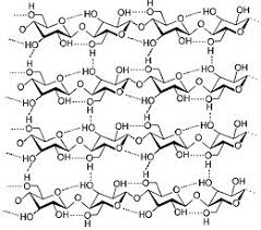 Risultati immagini per cellulosa