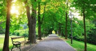 Gambar persekitaran yang bersih melindungi alam perlindungan alam sekitar awam kebersihan png dan clipart untuk muat turun percuma. 25 Puisi Lingkungan Hidup Dan Keindahan Alam Sekitar Kozio Com