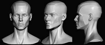 Planes Of The Head Female 3d Model Planes Of The Face Face Human Face