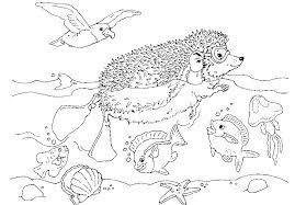 Here, you will find bird coloring pages to print and color. Free Printable Ocean Coloring Pages For Kids Drawing With Crayons
