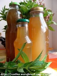 Siropul de mentă stimulează sistemul imunitar, întrucât conţine vitamina b, calciu și fosfor. Pin On GustÄƒri