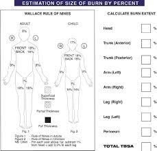 Burn Injuries Thoracic Key