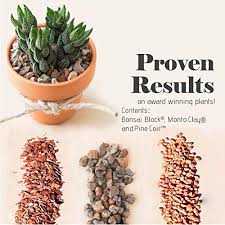 Part two this is part two of repotting my two succulents into bonsai jack succulent soil mix. Bonsai Jack Succulent And Cactus Soil Jacks Gritty Mix 111 14 Gallons Fast Draining Fight Root Rot Optimized Ph In Dubai Uae Whizz Garden Soil