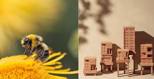 Damit die völker möglichst befallsfrei in die neue saison starten. Ein Haus Fur Bienen Designen Und Bauen Diese Website Macht S Moglich