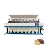 Cucumber Sorting Machines - Efficient Grading Solutions