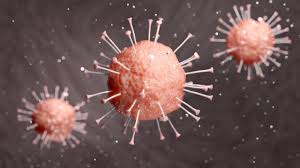 Campanha coronavírus governo do paraná. Coronavirus Prefeitura Anuncia Medidas De Prevencao Na Cidade Contra A Doenca Prefeitura Da Cidade Do Rio De Janeiro Prefeitura Rio