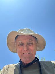 Dog walk and cleaning plastics