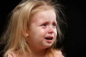 Laura Nygren's Instagram, Twitter & Facebook