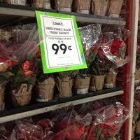Whether you're looking for the best deals on major appliances, plants, paint or helpful tools, you can find them here at the lewisburg lowe's. Lowe S Great Neck 7 Tips From 938 Visitors
