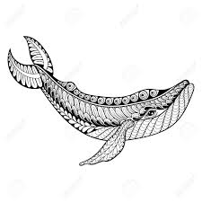 #drawacar #drawingforkids #timtimtv please subscribe and share tim tim tv : Zentangle Vector Whale For Adult Anti Stress Coloring Pages Royalty Free Cliparts Vectors And Stock Illustration Image 51457110
