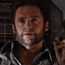 logan howlett icon ⊹ ⋆ ﾟ.