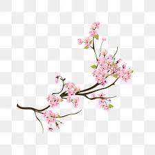 Hand Painted Realistic Wind Decorative Spring Peach Flower Decorative Squid Flowers Peach Blossom Png And Vector With Transparent Background For Free Downloa Peach Flowers Flower Illustration Watercolor Flower Illustration