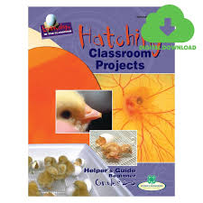 Image result for Embryology