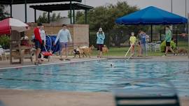 Doggie Dive In