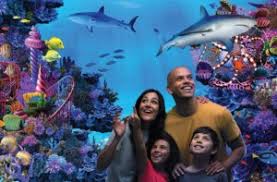 London Zoo's Land of the Lions Takes Themed Design to a New Territory