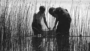 Stewards by DeniseSpranger