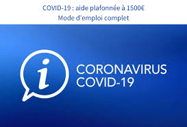 Formation informatique et internet à domicile. Aide Auto Entrepreneur Covid19 Mode Emploi Complet Fnae