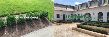 Small kitchen knot gardens need smaller, lower growing plants to appreciate the design. Knot Garden Design And Landscapes With Hedges Instanthedge