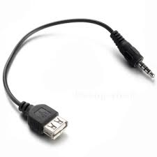 Yes, the ps4 has an internet browser based on webkit technology, similar to the ps3 browser. Ps4 Aux Cable What Is The Aux Port On The Back Of The Ps4 For