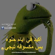 صور مضحكة و طريفة و أجمل خلفيات مضحكة Hd بفبوف Funny Study Quotes Funny Joke Quote Fun Quotes Funny