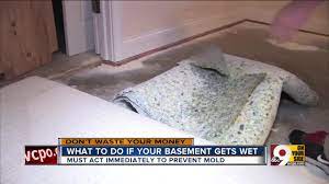 It can happen to anyone who has a basement, even if it has never flooded before. Don T Waste Your Money What To Do If Your Basement Floods Youtube
