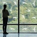 Bird Decals for Windows Anti Collision Window Decals for Birds ...
