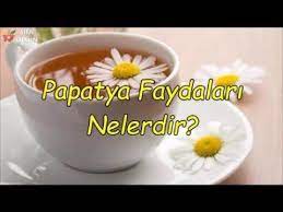 Papatya Faydalari Nelerdir