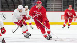 Find out anthony mantha's latest linemates, game logs, advanced stats, news and analysis from dobberhockey.com. Red Wings Anthony Mantha Scores Goal On Jonathan Bernier In Scrimmage