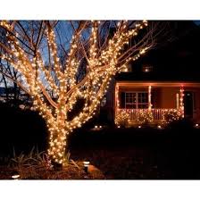 2020 popular 1 trends in lights & lighting, home & garden, toys & hobbies, computer & office with battery operated xmas light and 1. Indoor And Outdoor Battery Operated 400 Led Christmas Tree Lights Udendo Weihnachten Im Freien Hangende Weihnachtsbeleuchtung Weihnachtsdekoration Fur Draussen