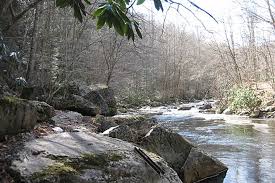 The otter creek wilderness is a u.s. Otter Creek Trail West Virginia Trails Traillink