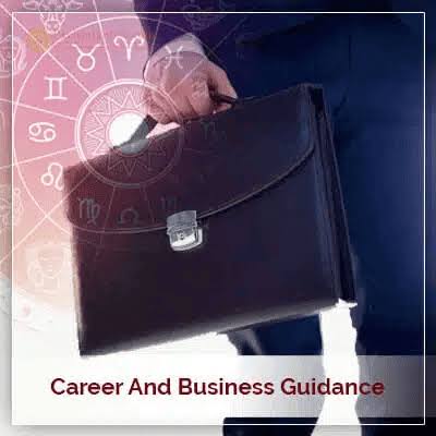 Career & Business Guidance product image