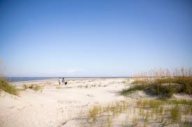 Image result for Brachyachne simonsii