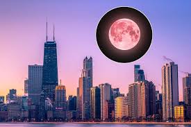 A full strawberry moon will light up the Chicago sky this month—here’s when and where to catch a glimpse
