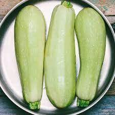 What does a large green zucchini look like. Zucchini Italian Light Green Seeds The Seed Collection