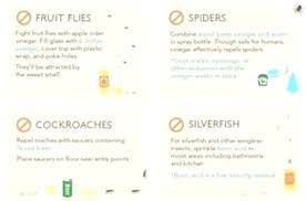 This guide should teach you. Pest Control House Pest Control Redbridge Pest Control 44212 Best Pest Control Services Near Me Pe Pest Control Roaches Pest Control Orkin Pest Control