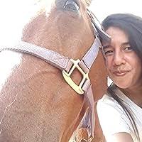 Hide and Sneak (A Savannah Reid Mystery, #23) by G.A. McKevett