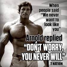 When People Said We Never Want To Look Like You Arnold Replied Don T Worry You Neve Bodybuilding Quotes Schwarzenegger Bodybuilding Bodybuilding Motivation