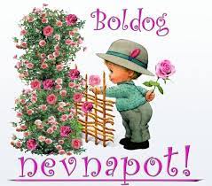 Ekkor az adott naptári naphoz tartozó keresztnevet viselő személyt a családja, barátai megünneplik. Nevnap Jolka Qwqw Hu Cards Flower Illustration Its My Birthday