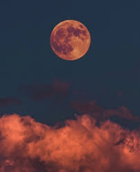 For All Mankind Moon Themed Apple Watch Wallpaper Backgrounds Apple Watch Info