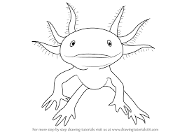 You'll need a pen or pencil and something to c. Learn How To Draw A Walking Fish Amphibians Step By Step Drawing Tutorials