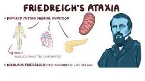 Image result for Ataxia