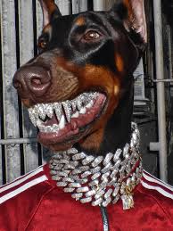 ᴅᴏʙᴇʀᴍᴀɴ ᴅɪᴀᴍᴏɴᴅꜱ 🐾💎 Want to learn how to make things like this⁉️👇🏽  There are so many AI tools and ways to create that it can be overwhelming  and expensive to figure it