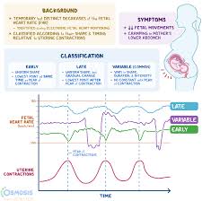 Image result for Delayed Transition from Fetal Circulation